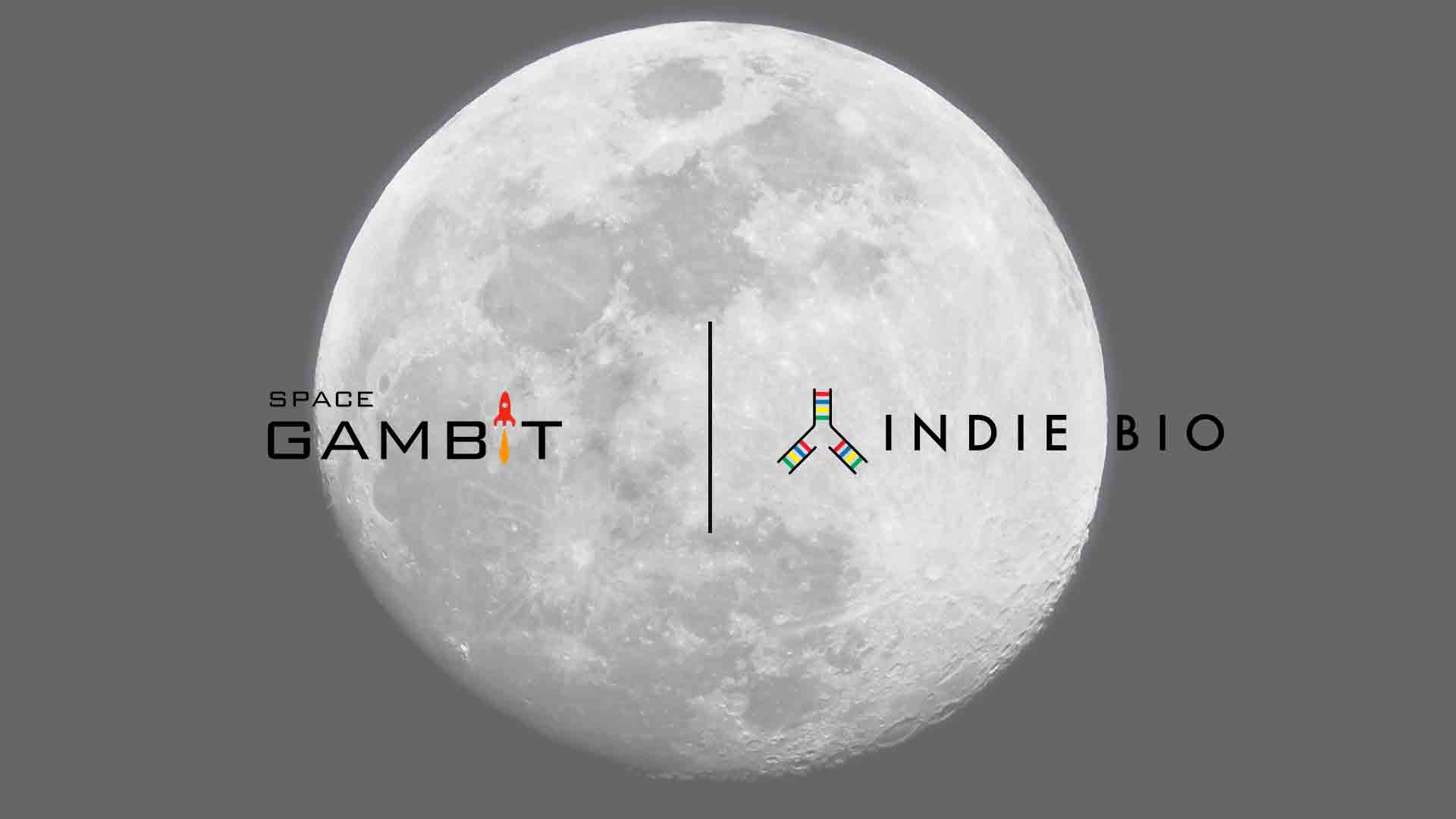 IndieBio and SpaceGAMBIT - Announce Partnership to Accelerate Space Biology