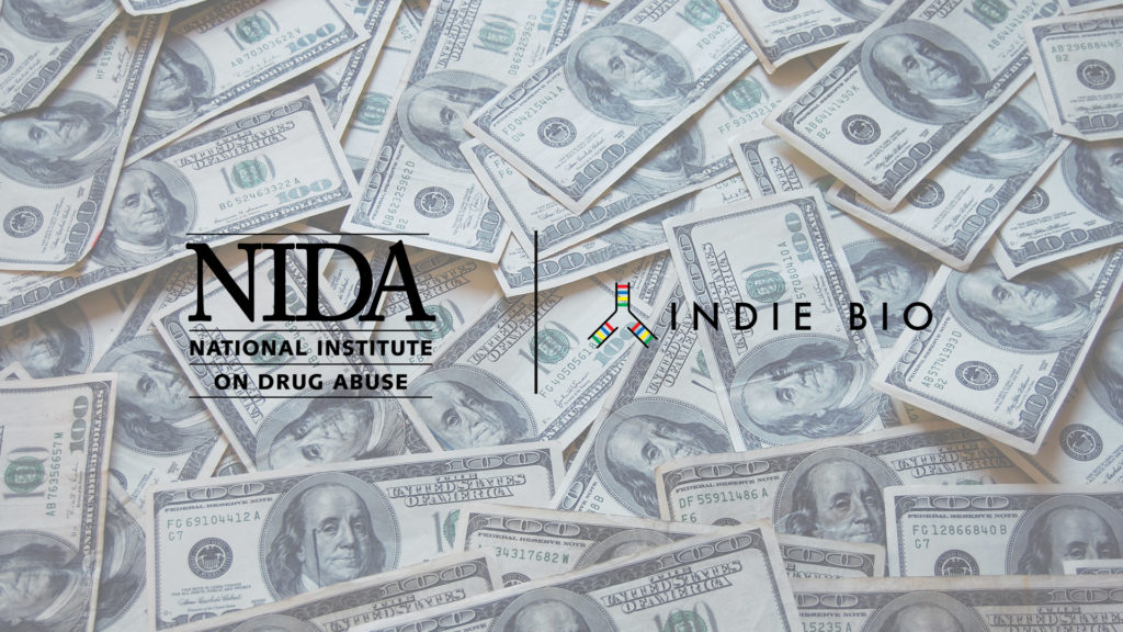IndieBio and NIH's National Institute Drug Abuse announce collaboration on $100k Startup Challenge