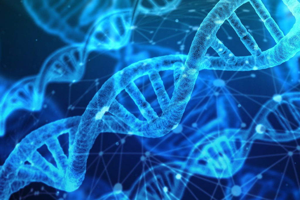 Catalog is developing a DNA-based data storage platform.
