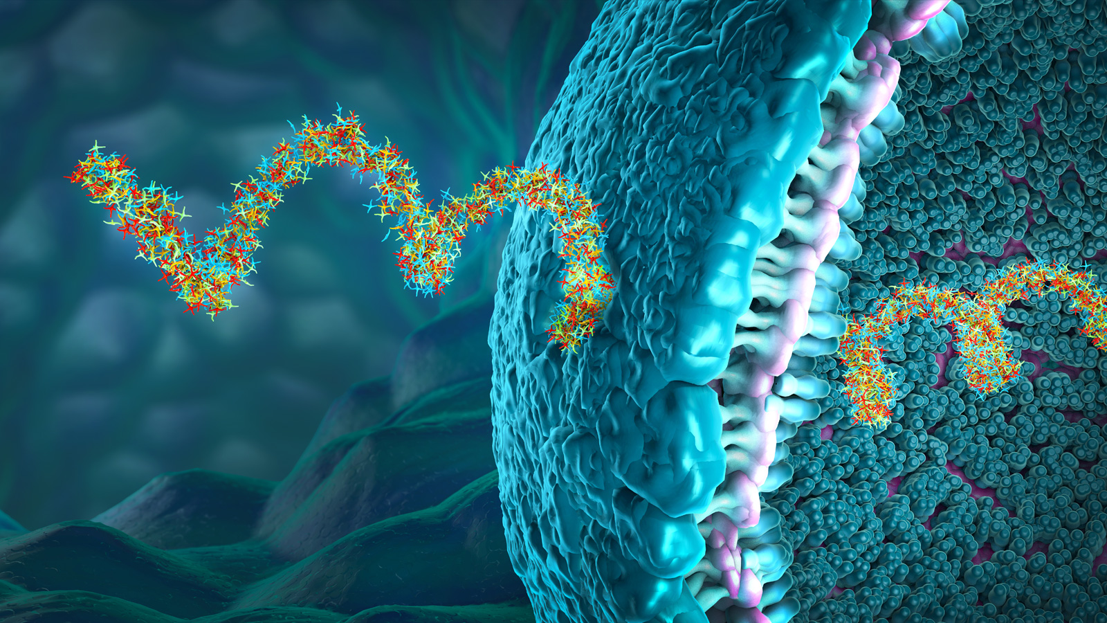 Vitarka Therapeutics