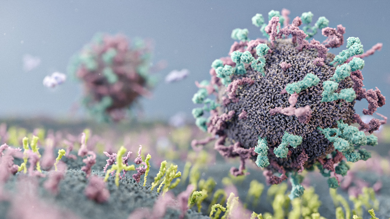 Diadem Biotherapeutics