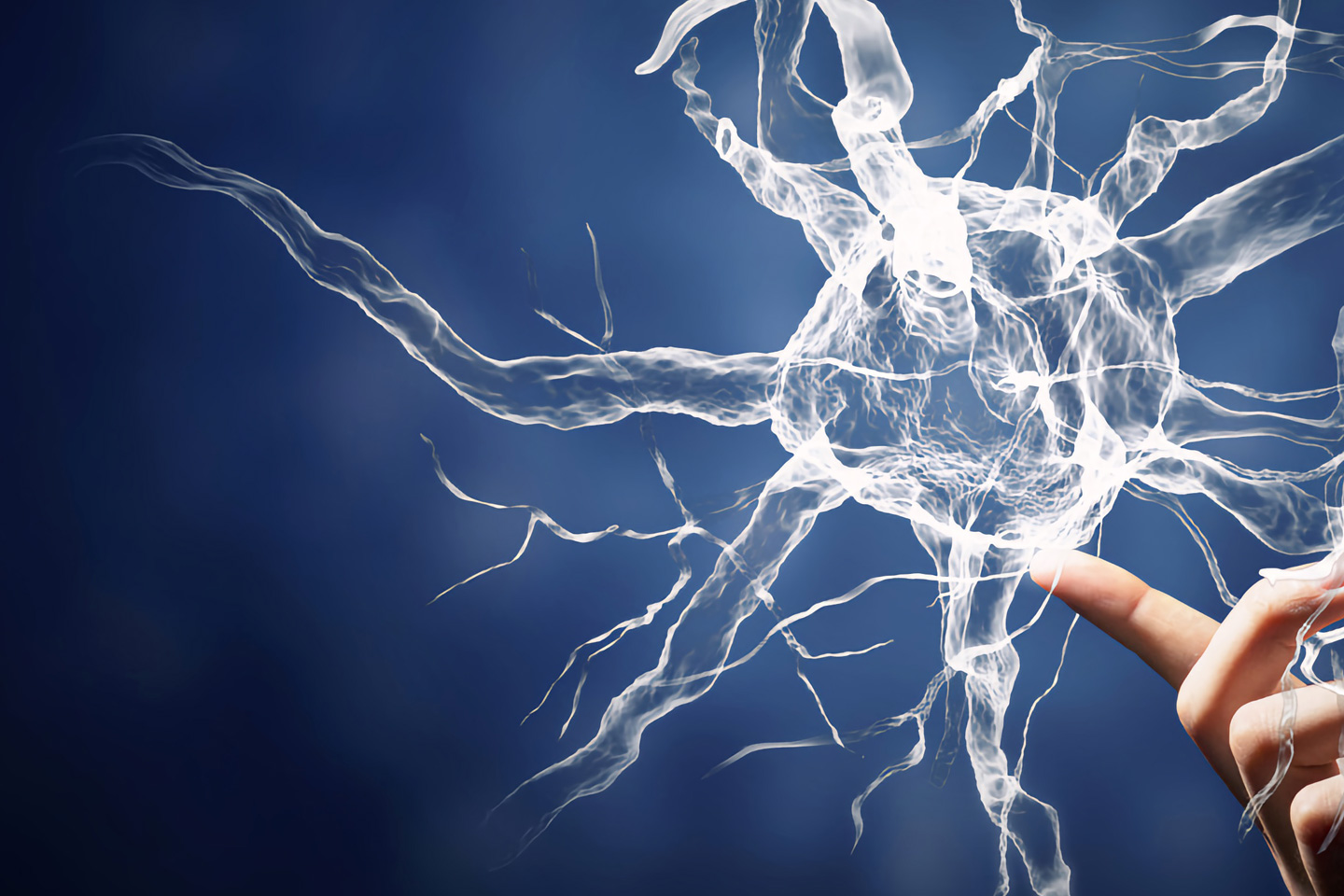 Neurocarrus Inc