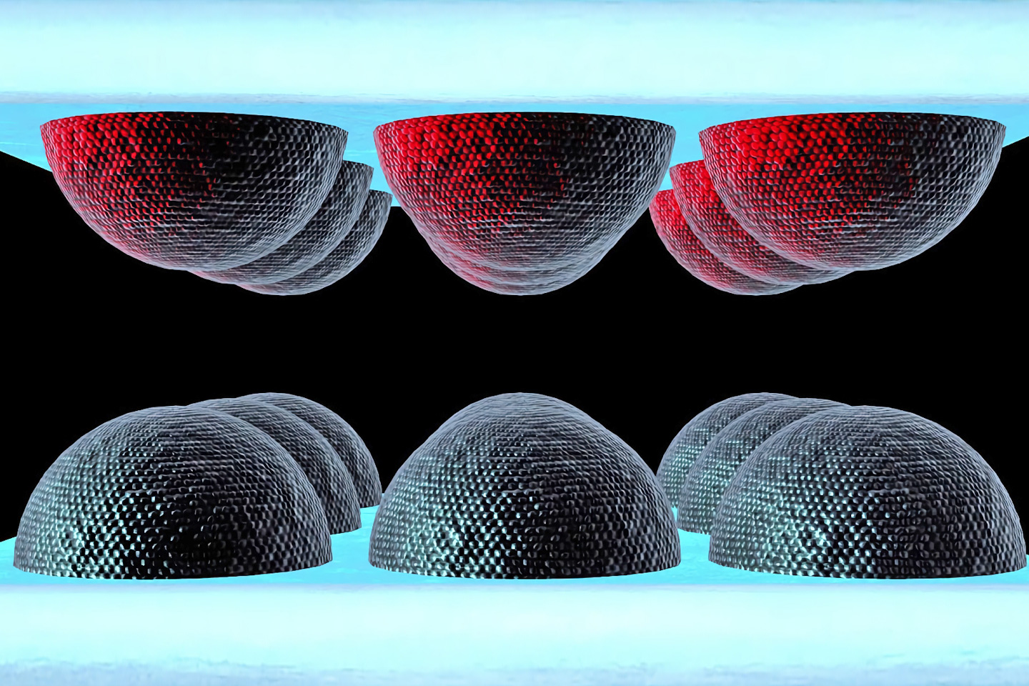 QuantumCyte